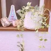 四つ葉のクローバー