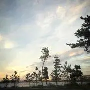 M&M_Fashionの画像