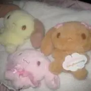 まるちずの画像