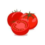 tomatoの画像
