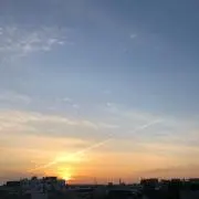 めありの画像