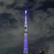 Shoの画像