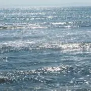 REENの画像