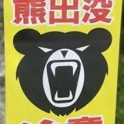 ajapapa