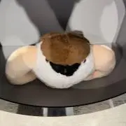 マッスル【まとめ買い大歓迎】の画像