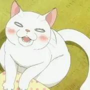 ゆうにゃん