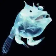 ぬ◎の画像