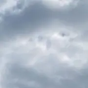 トリスの画像