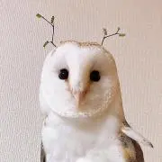 rinの画像