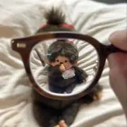 saraの画像