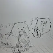 もちの画像