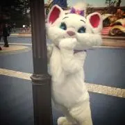 のこちゃん