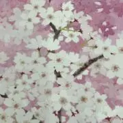 PAPARISHの画像