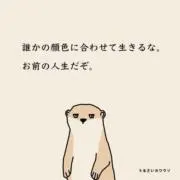 shinの画像
