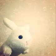 Airiの画像