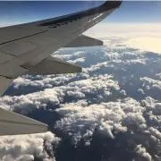 ぽったーの画像