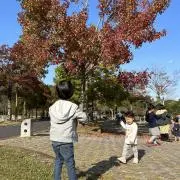 shya♡の画像