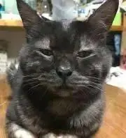 くう(^^)の画像