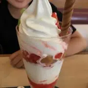 たろせい