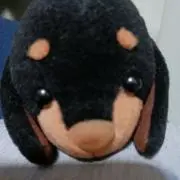チャム