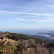 Tomomiの画像