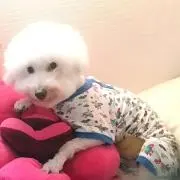キンREOの画像