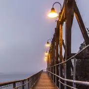 FUNEの画像