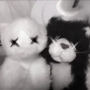 もねの画像