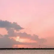 JuneBerryの画像