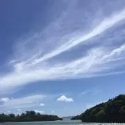 FeelFreeの画像