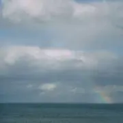 ハナの画像
