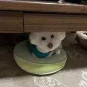 まなぷ〜