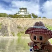fishの画像