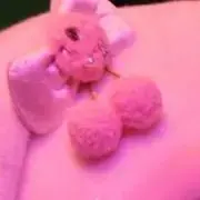 ぴぃ。の画像