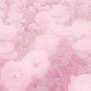きのこ