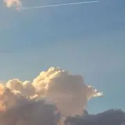 ちょこの画像