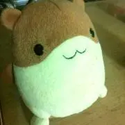 はんどの画像