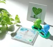 くまねこ【まとめ買い大歓迎！】の画像