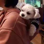 tiny♡