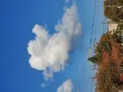 らっく