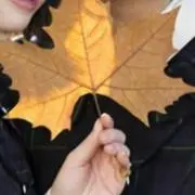 あるかなの画像