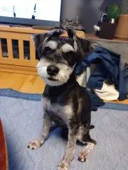 けいママの画像