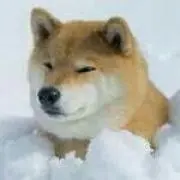 アキラの画像