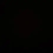 ユズルズの画像