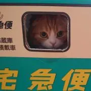 kouchan