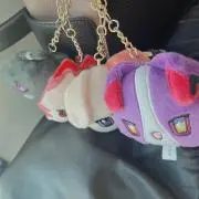 Sellaの画像