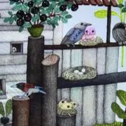 Calicoの画像