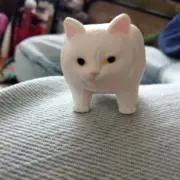 よもぎの画像