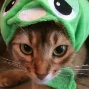 ベル
