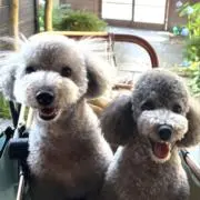 きゅまる★の画像